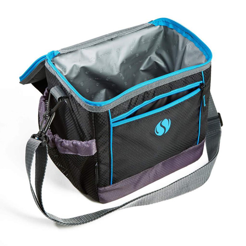 Rebrilliant Sport Cooler Insulated Lunch Bag & Reviews Wayfair